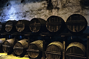 Bodega Gonzales Byass