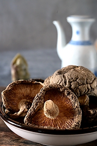 Winterpilz